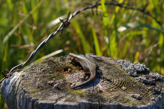 Закат Империи