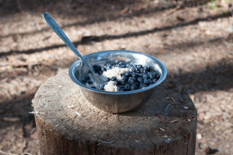 Черника в августе есть всегда