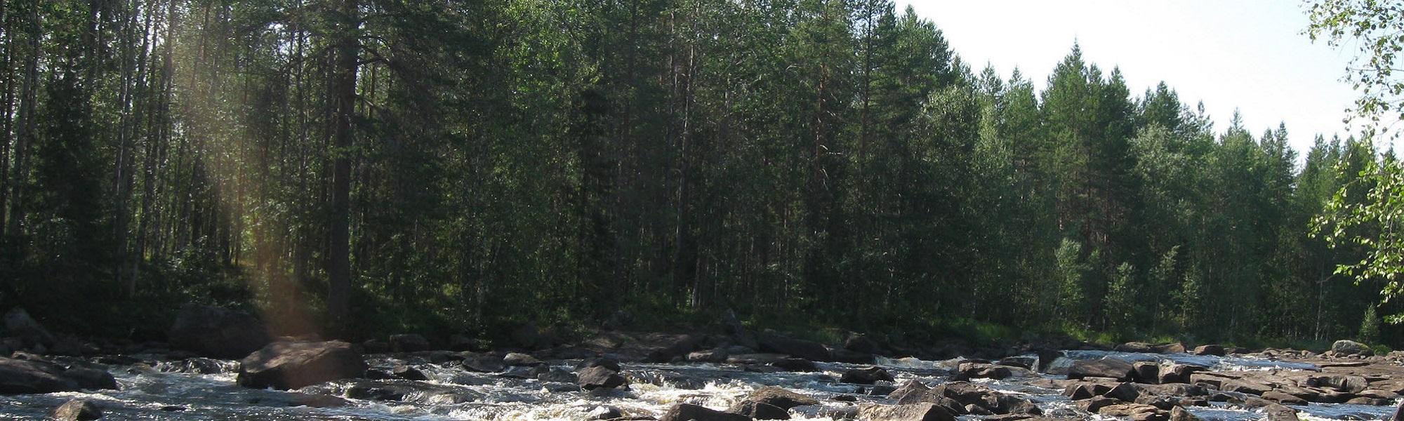 По реке Воньга с выходом в Белое море (разведка)